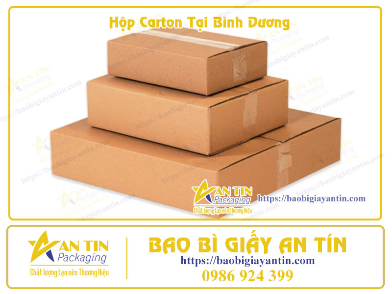 Hộp carton tại Bình Dương Hộp carton tại Bình Dương