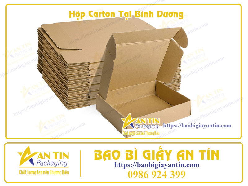 Hộp carton tại Bình Dương Hộp carton tại Bình Dương