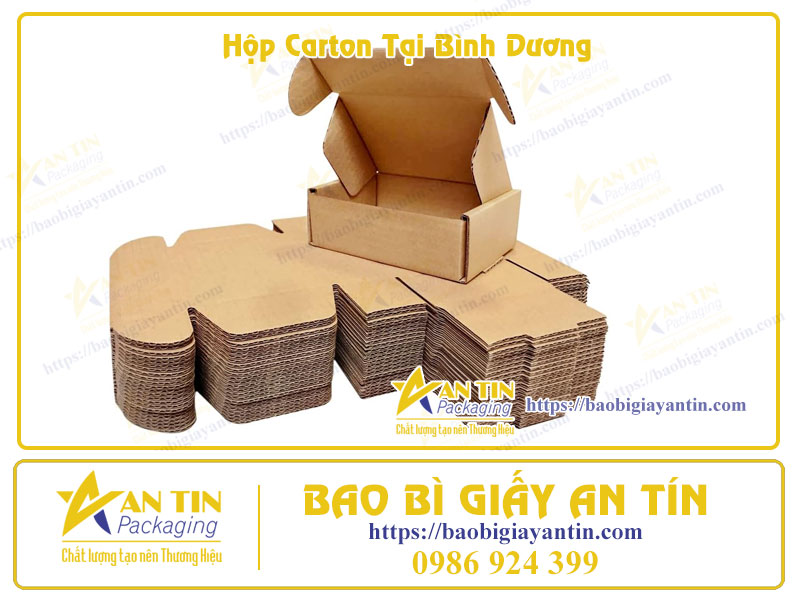 Hộp carton tại Bình Dương Hộp carton tại Bình Dương