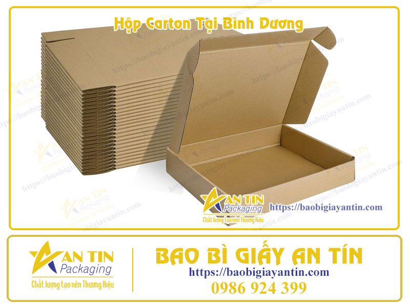 Hộp carton tại Bình Dương Hộp carton tại Bình Dương
