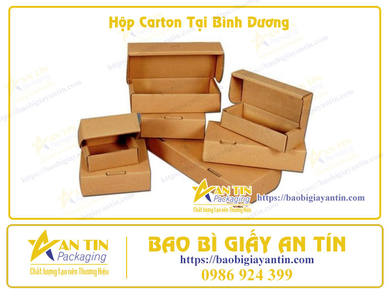 Hộp carton tại Bình Dương Hộp carton tại Bình Dương