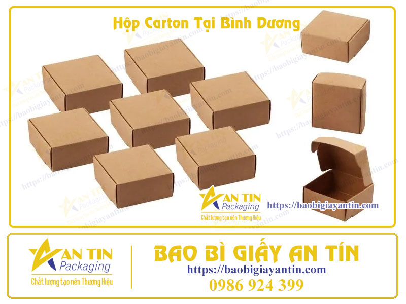 Hộp carton tại Bình Dương Hộp carton tại Bình Dương