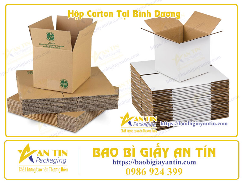 Hộp carton tại Bình Dương Hộp carton tại Bình Dương