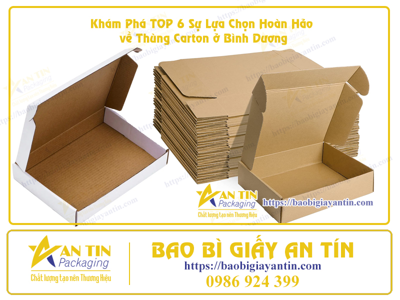 Hộp carton tại Bình Dương Hộp carton tại Bình Dương
