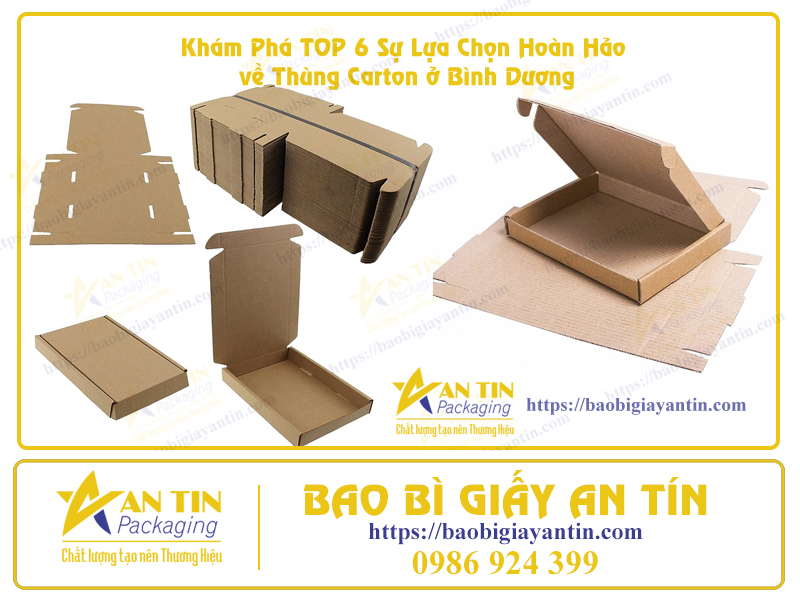 Hộp giấy carton mua ở đâu tại Bình Dương Hộp giấy carton mua ở đâu tại Bình Dương