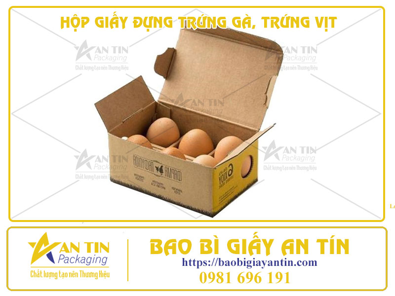 Hộp Giấy Đựng Trứng Gà, Trứng Vịt - Sự Lựa Chọn Thông Minh Cho Sản Phẩm Dễ Vỡ