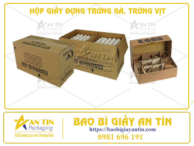 Hộp Giấy Đựng Trứng Gà, Trứng Vịt - Sự Lựa Chọn Thông Minh Cho Sản Phẩm Dễ Vỡ