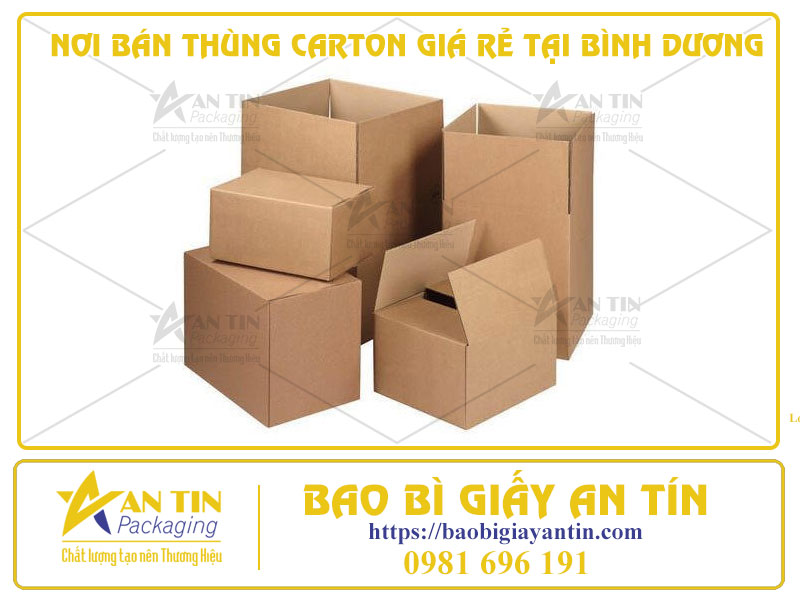 Hướng Dẫn Tìm Nơi Bán Thùng Carton Giá Rẻ Tại Bình Dương