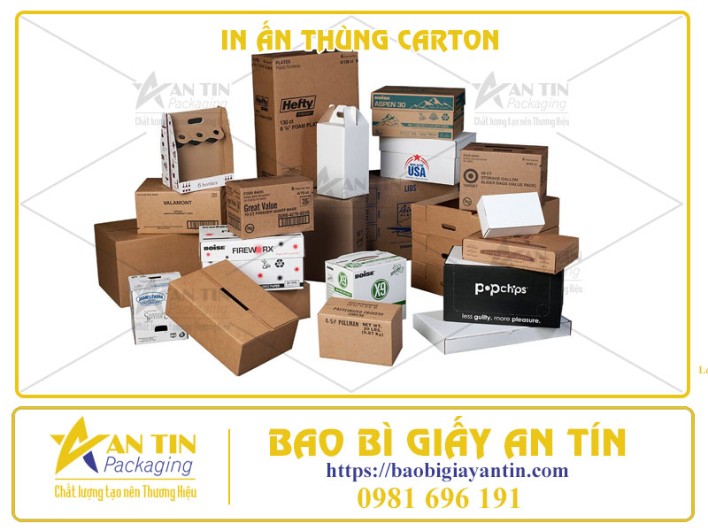 In Ấn Thùng Carton - Chìa Khóa Cho Thành Công Của Bạn!