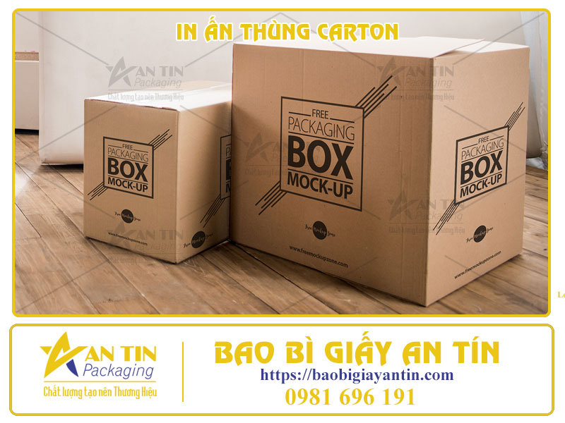 In Ấn Thùng Carton - Chìa Khóa Cho Thành Công Của Bạn!
