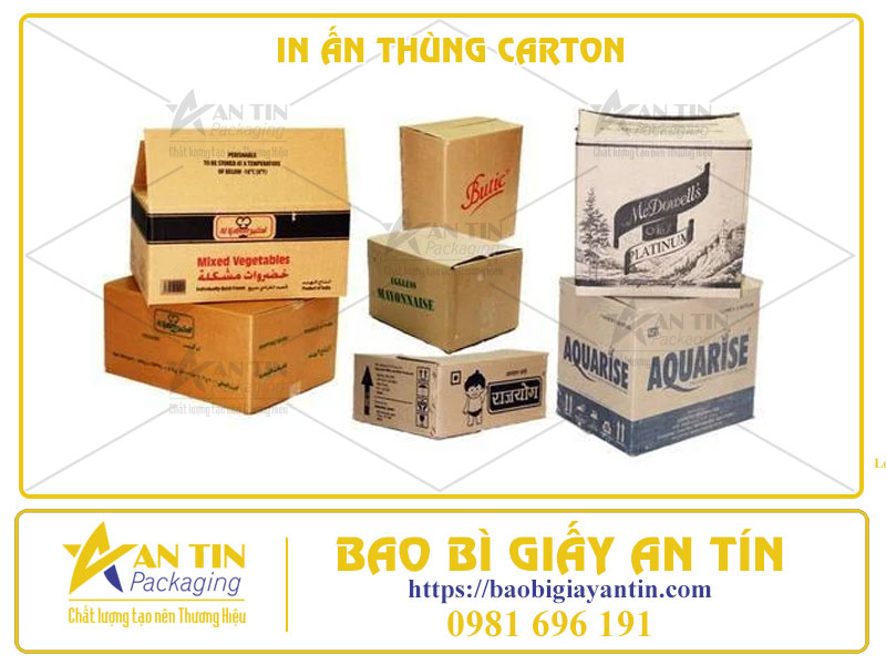 In Ấn Thùng Carton - Chìa Khóa Cho Thành Công Của Bạn!