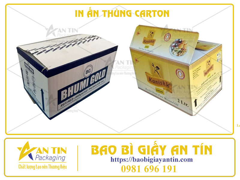 In Ấn Thùng Carton - Chìa Khóa Cho Thành Công Của Bạn!