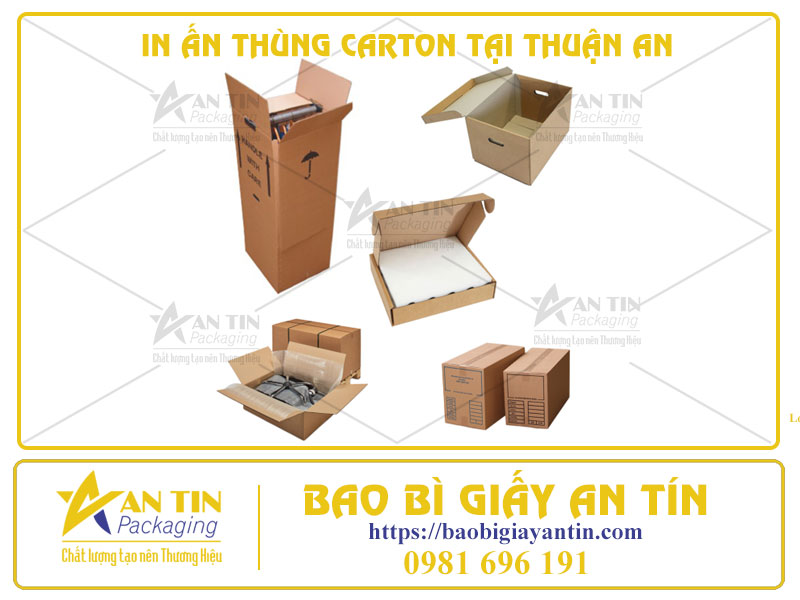 In Ấn Thùng Carton - Chiến Dịch Marketing Thông Minh Cho Doanh Nghiệp Hiện Đại Tại Thuận An