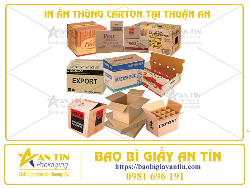 In Ấn Thùng Carton - Chiến Dịch Marketing Thông Minh Cho Doanh Nghiệp Hiện Đại Tại Thuận An