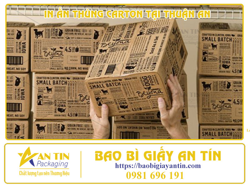 In Ấn Thùng Carton - Chiến Dịch Marketing Thông Minh Cho Doanh Nghiệp Hiện Đại Tại Thuận An