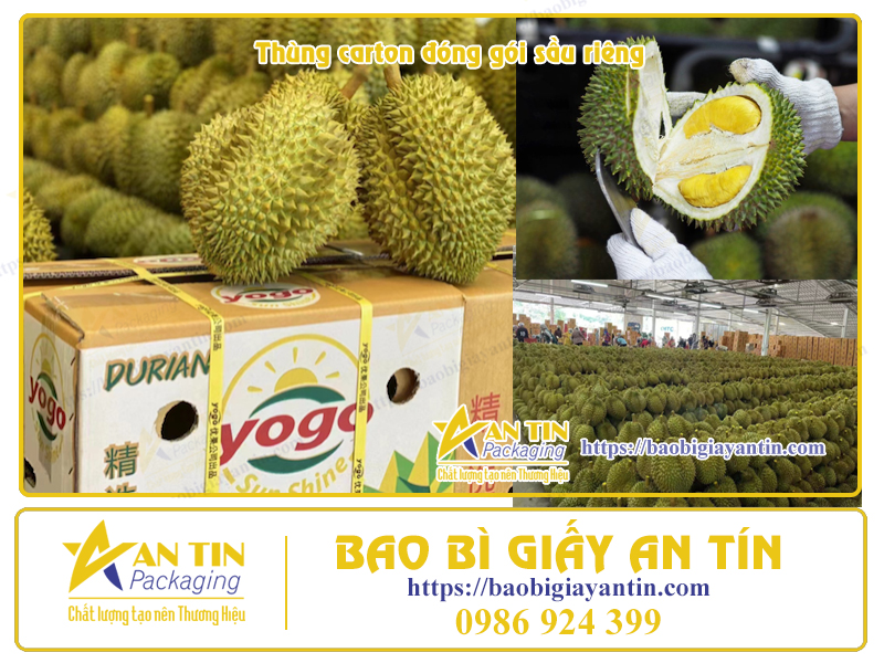 In ấn thùng carton đóng gói Sầu Riêng In ấn thùng carton đóng gói Sầu Riêng