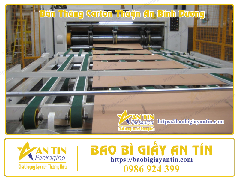 In Ấn Thùng Giấy Carton ở Bình Dương In Ấn Thùng Giấy Carton ở Bình Dương