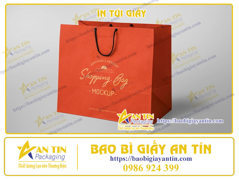 In Ấn Túi Giấy Có Vai Trò Quan Trọng Như Thế Nào Trong Kinh Doanh