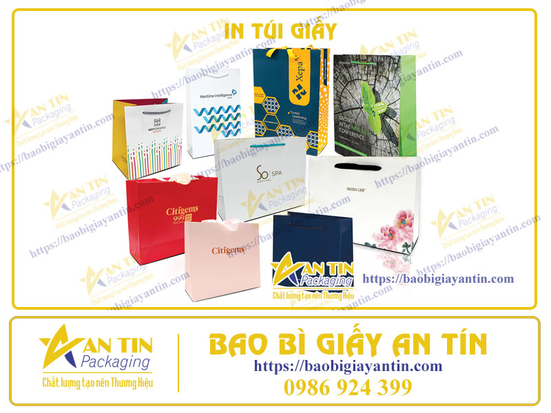 In Ấn Túi Giấy Có Vai Trò Quan Trọng Như Thế Nào Trong Kinh Doanh