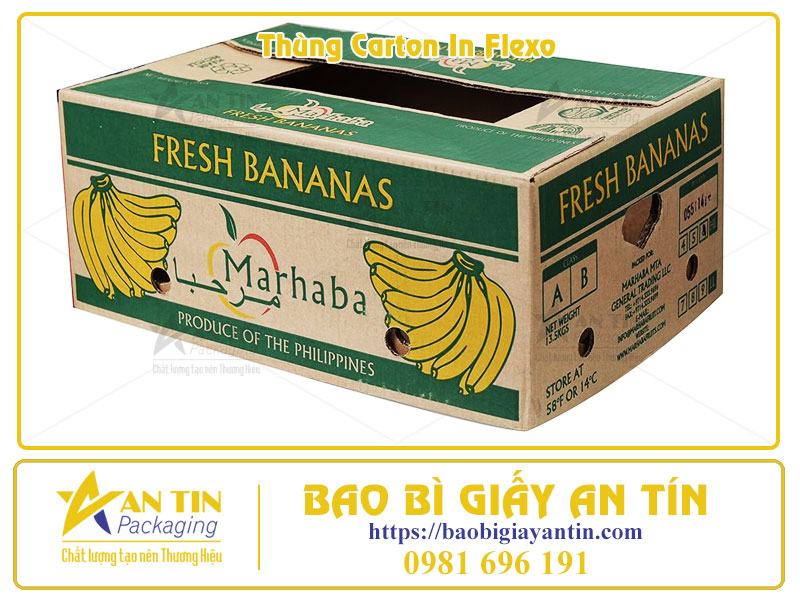 In Flexo Thùng Carton Công Nghệ In Quốc Dân Cho Sản Xuất Bao Bì Số Lượng Lớn In Flexo Thùng Carton Công Nghệ In Quốc Dân Cho Sản Xuất Bao Bì Số Lượng Lớn