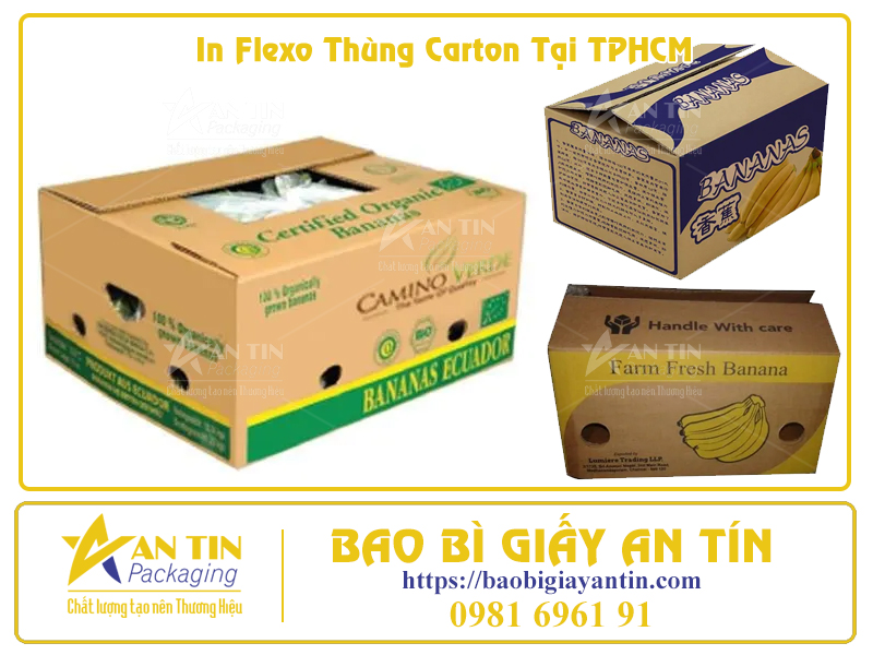 In Flexo Thùng Carton Tại TPHCM In Flexo Thùng Carton Tại TPHCM