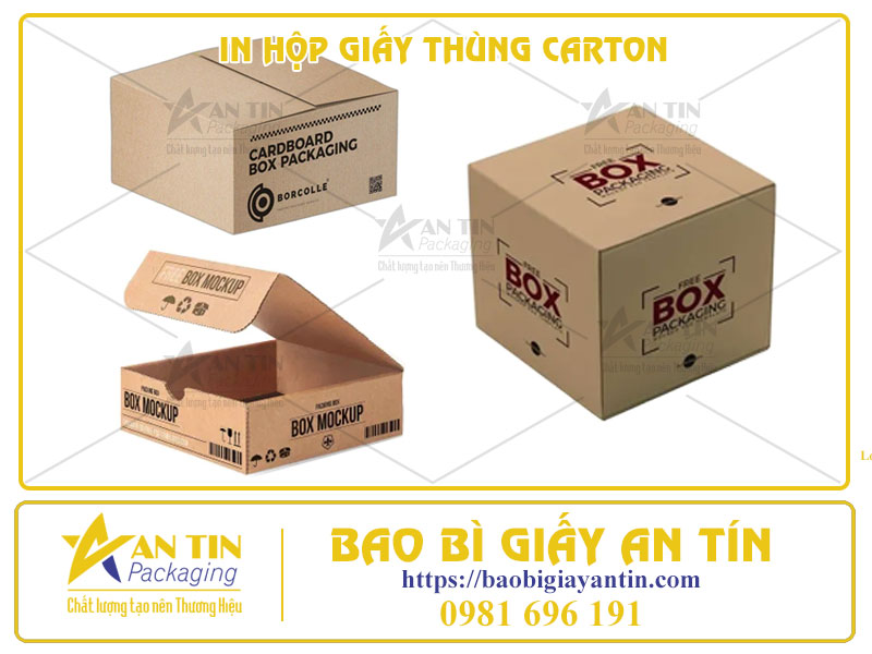 In Hộp Giấy Thùng Carton Chất Lượng Cao Tại Bao Bì An Tín