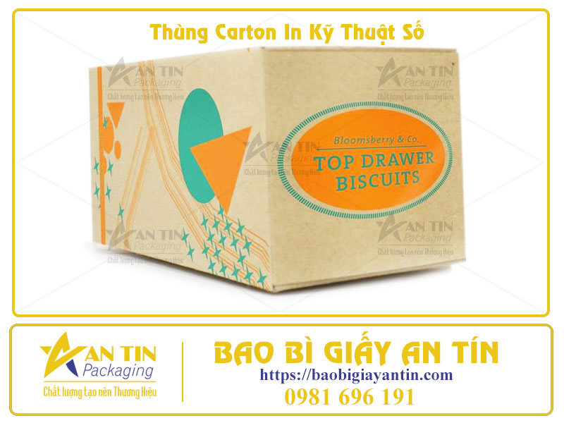 In Kỹ Thuật Số Thùng Carton Bước Đột Phá Cho Bao Bì Thời Đại Mới Cùng An Tín In Kỹ Thuật Số Thùng Carton Bước Đột Phá Cho Bao Bì Thời Đại Mới Cùng An Tín