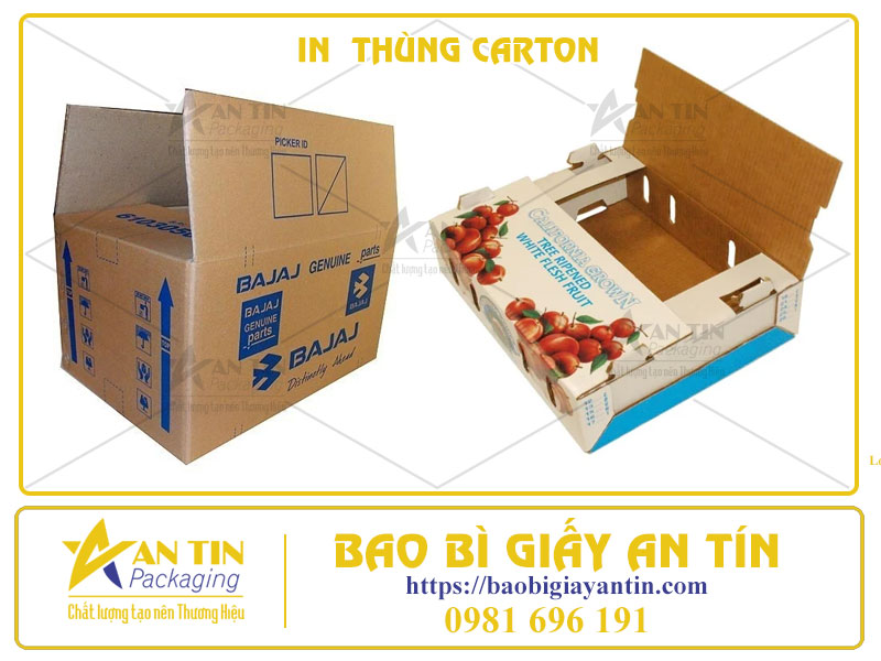 In Thùng Carton Bình Dương Giải Pháp Tối Ưu Cho Doanh Nghiệp