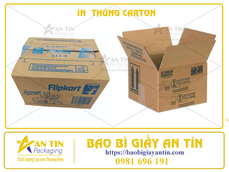 In Thùng Carton Bình Dương Giải Pháp Tối Ưu Cho Doanh Nghiệp
