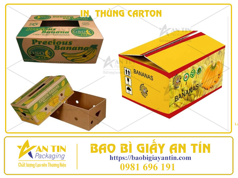 In Thùng Carton Bình Dương Giải Pháp Tối Ưu Cho Doanh Nghiệp