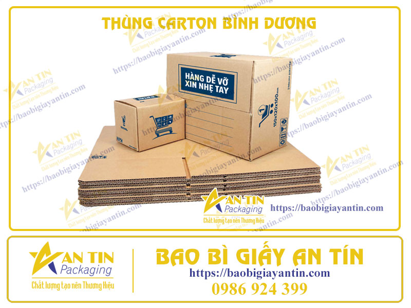 In Thùng Carton Chuyên Nghiệp Tại Bình Dương: Đội Ngũ Kỹ Thuật Cao, Kỹ Thuật In Vượt Trội
