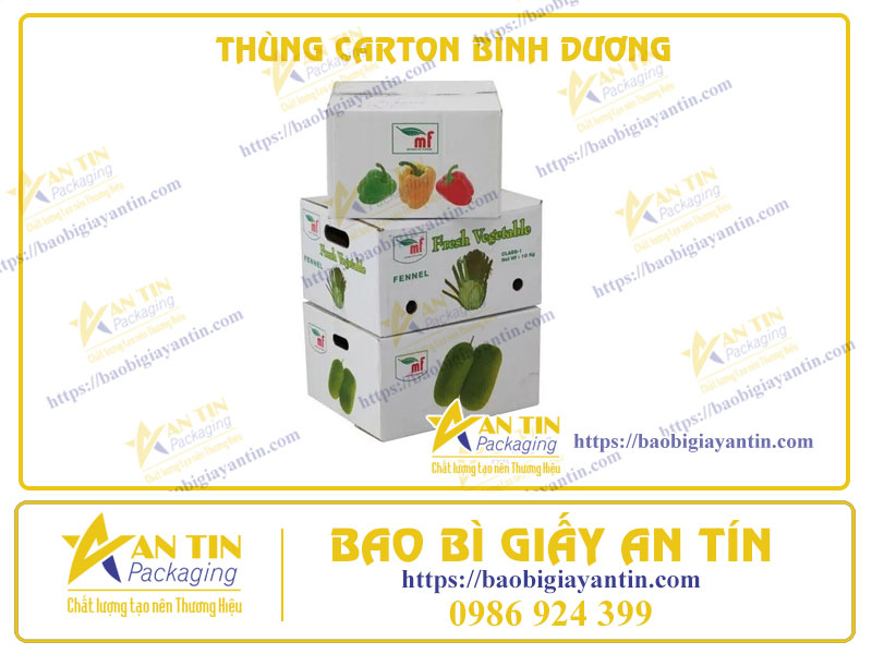 In Thùng Carton Chuyên Nghiệp Tại Bình Dương: Đội Ngũ Kỹ Thuật Cao, Kỹ Thuật In Vượt Trội
