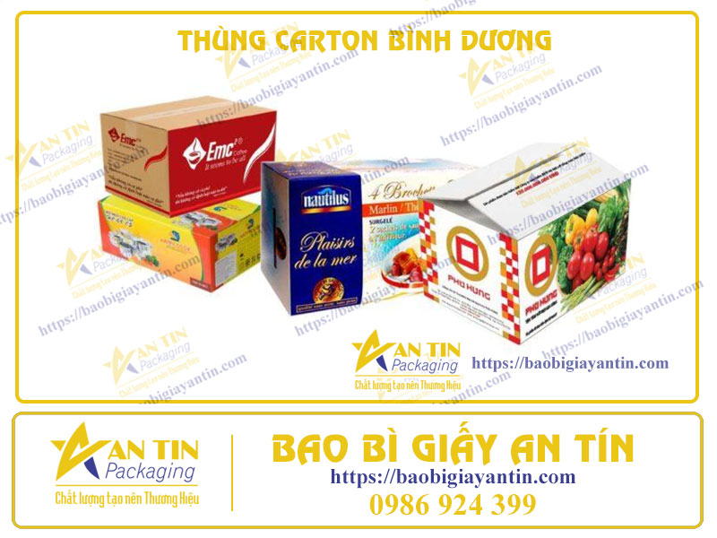 In Thùng Carton Chuyên Nghiệp Tại Bình Dương: Đội Ngũ Kỹ Thuật Cao, Kỹ Thuật In Vượt Trội