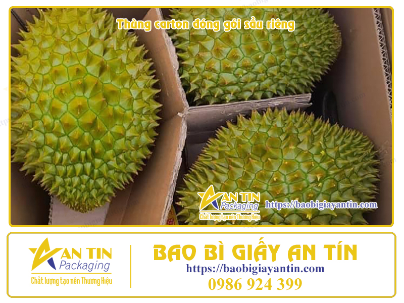 In Thùng carton đóng gói Sầu Riêng In Thùng carton đóng gói Sầu Riêng