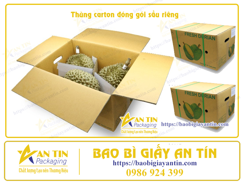 In Thùng carton đóng gói Sầu Riêng In Thùng carton đóng gói Sầu Riêng