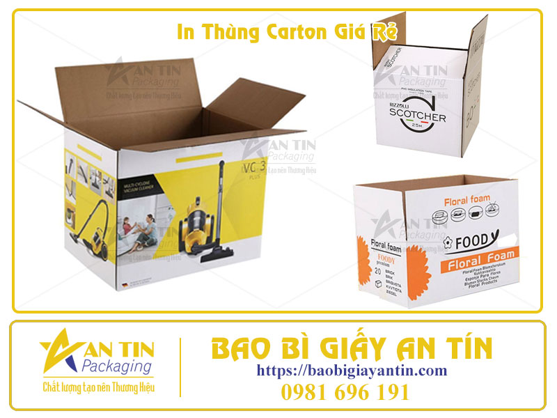 In Thùng Carton Giá Rẻ Tại HCM Giải Pháp Tiết Kiệm Chi Phí Cho Doanh Nghiệp In Thùng Carton Giá Rẻ Tại HCM Giải Pháp Tiết Kiệm Chi Phí Cho Doanh Nghiệp