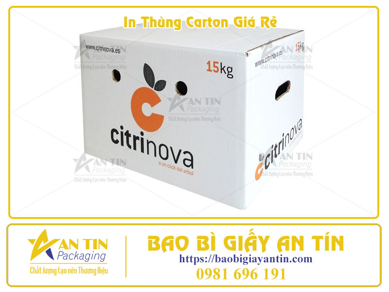 In Thùng Carton Giá Rẻ Tại HCM Giải Pháp Tiết Kiệm Chi Phí Cho Doanh Nghiệp In Thùng Carton Giá Rẻ Tại HCM Giải Pháp Tiết Kiệm Chi Phí Cho Doanh Nghiệp