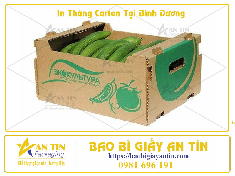 In Thùng Carton Tại Bình Dương Giải Pháp Đóng Gói Chuyên Nghiệp Cho Doanh Nghiệp