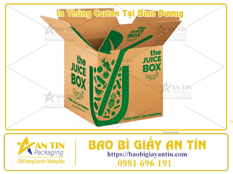 In Thùng Carton Tại Bình Dương Giải Pháp Đóng Gói Chuyên Nghiệp Cho Doanh Nghiệp In Thùng Carton Tại Bình Dương Giải Pháp Đóng Gói Chuyên Nghiệp Cho Doanh Nghiệp