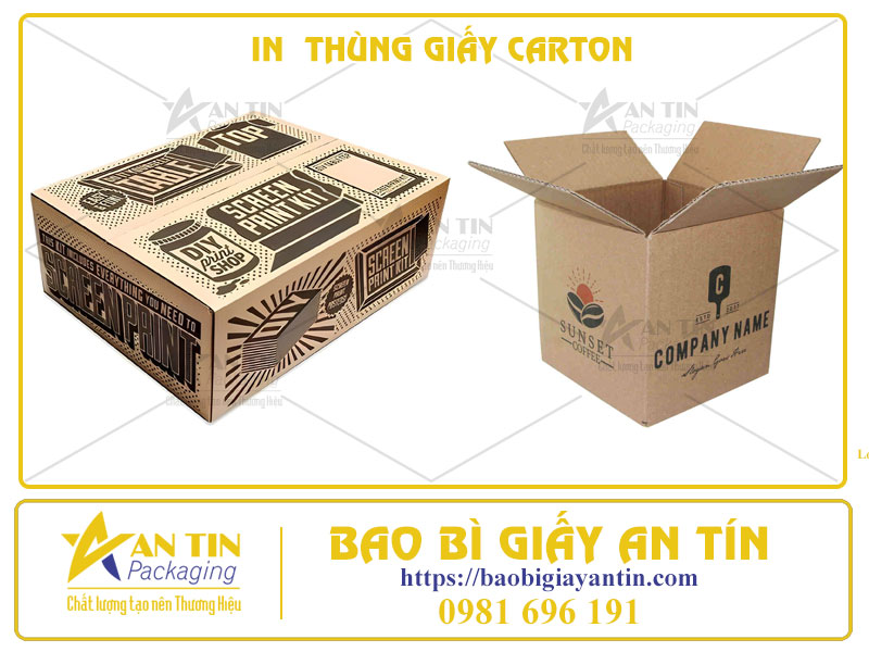 In Thùng Giấy Carton Chất Lượng Cao Tại Bao Bì An Tín - Nâng Tầm Thương Hiệu Sản Phẩm Của Bạn