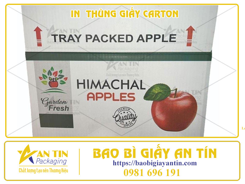 In Thùng Giấy Carton Chất Lượng Cao Tại Bao Bì An Tín - Nâng Tầm Thương Hiệu Sản Phẩm Của Bạn