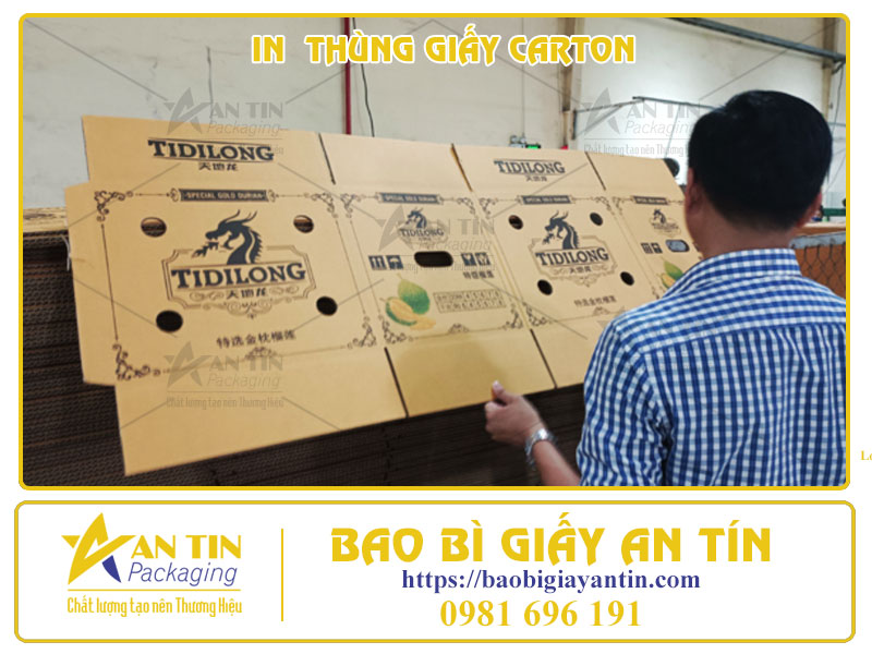 In Thùng Giấy Carton Chất Lượng Cao Tại Bao Bì An Tín - Nâng Tầm Thương Hiệu Sản Phẩm Của Bạn