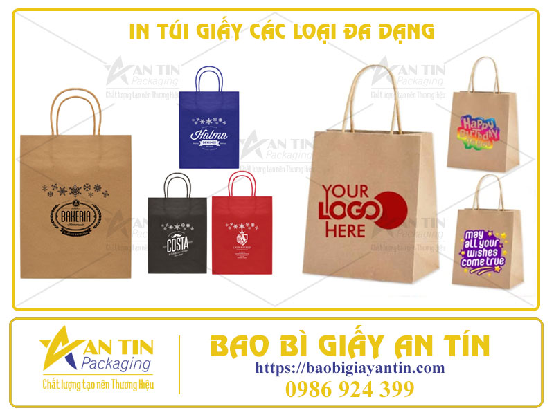 In Túi Giấy Các Loại Đa Dạng - Mở Ra Thế Giới Không Giới Hạn Cho Ý Tưởng Của Bạn