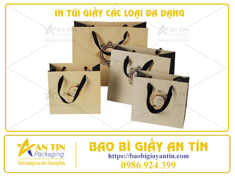 In Túi Giấy Các Loại Đa Dạng - Mở Ra Thế Giới Không Giới Hạn Cho Ý Tưởng Của Bạn