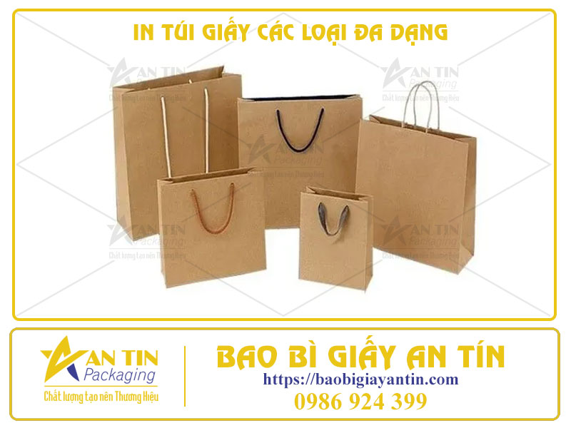 In Túi Giấy Các Loại Đa Dạng - Mở Ra Thế Giới Không Giới Hạn Cho Ý Tưởng Của Bạn