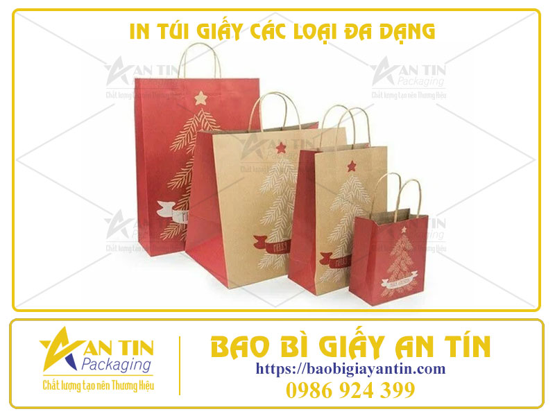 In Túi Giấy Các Loại Đa Dạng - Mở Ra Thế Giới Không Giới Hạn Cho Ý Tưởng Của Bạn