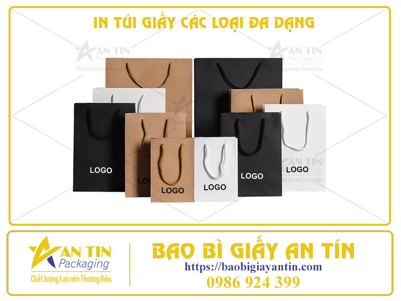 In Túi Giấy Các Loại Đa Dạng - Mở Ra Thế Giới Không Giới Hạn Cho Ý Tưởng Của Bạn