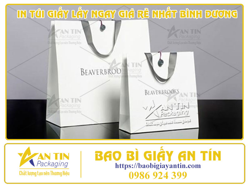 In Túi Giấy Lấy Ngay Giá Rẻ Nhất Bình Dương - Bao Bì An Tín