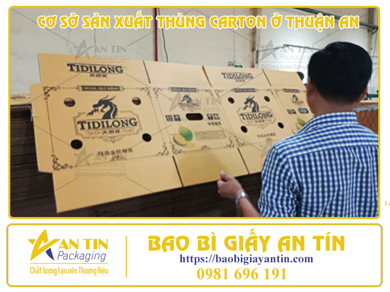 Khám Phá Tận Nơi Cơ Sở Sản Xuất Thùng Carton Ở Thuận An