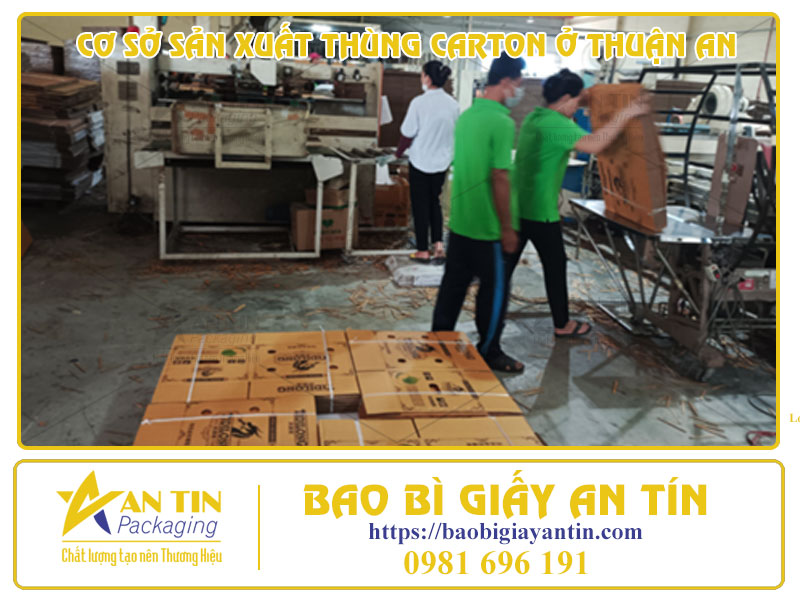 Khám Phá Tận Nơi Cơ Sở Sản Xuất Thùng Carton Ở Thuận An